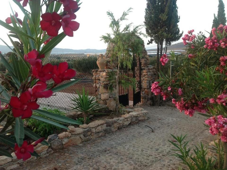 Olivares Rural Los Albaricoques Εξωτερικό φωτογραφία