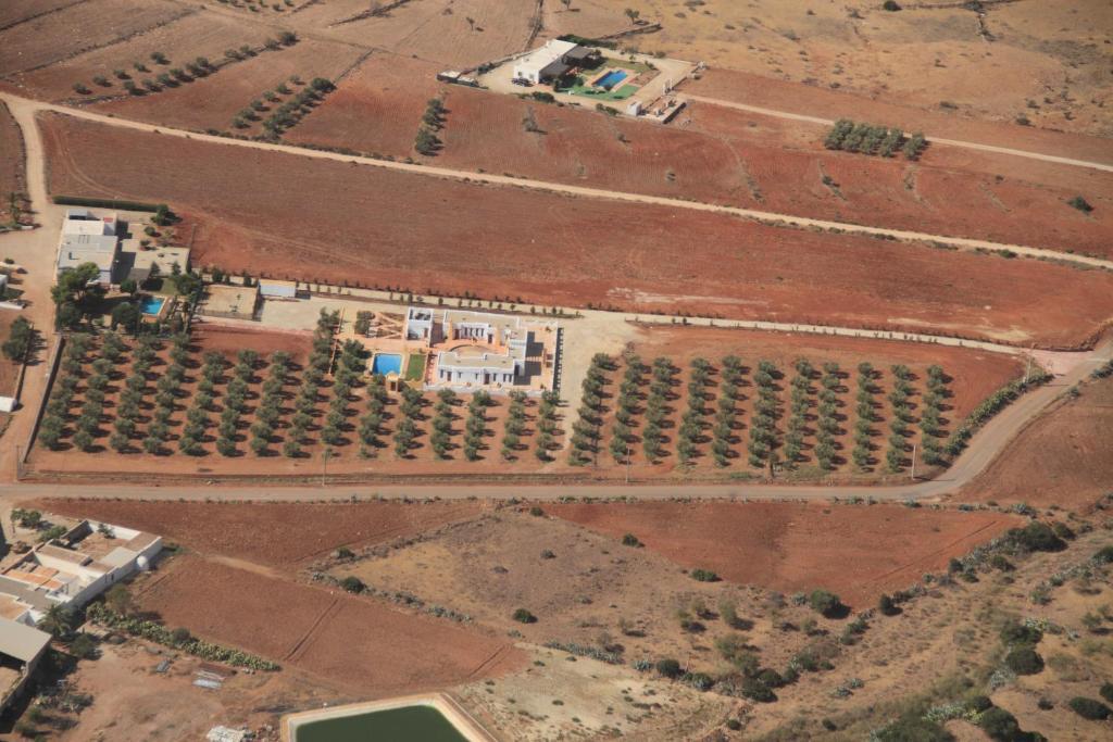 Olivares Rural Los Albaricoques Εξωτερικό φωτογραφία