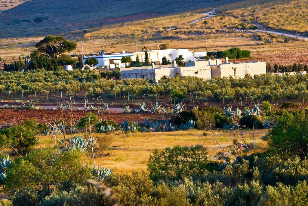 Olivares Rural Los Albaricoques Εξωτερικό φωτογραφία