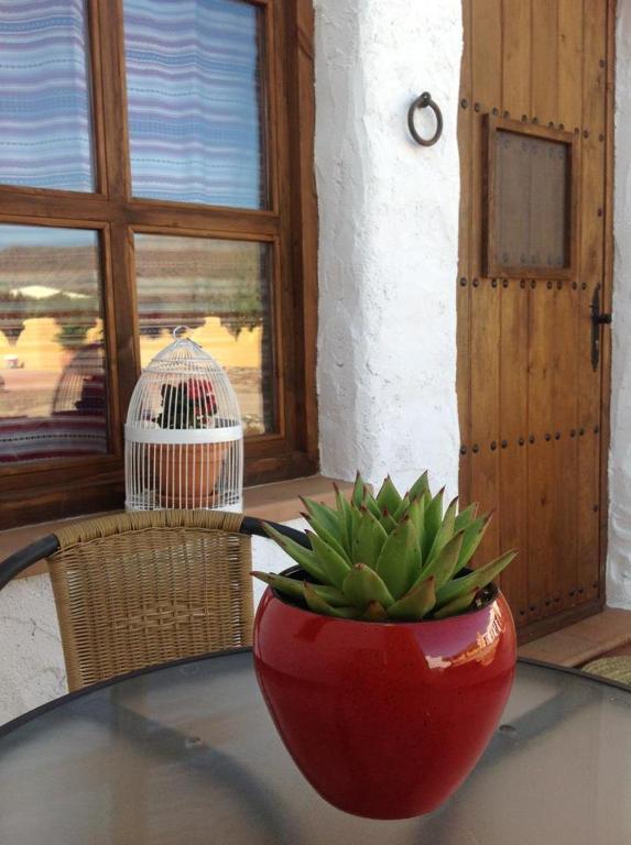 Olivares Rural Los Albaricoques Εξωτερικό φωτογραφία